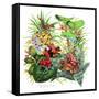 Frogs About-Tim Knepp-Framed Stretched Canvas