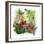 Frogs About-Tim Knepp-Framed Giclee Print