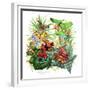 Frogs About-Tim Knepp-Framed Giclee Print
