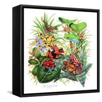 Frogs About-Tim Knepp-Framed Stretched Canvas