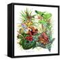 Frogs About-Tim Knepp-Framed Stretched Canvas