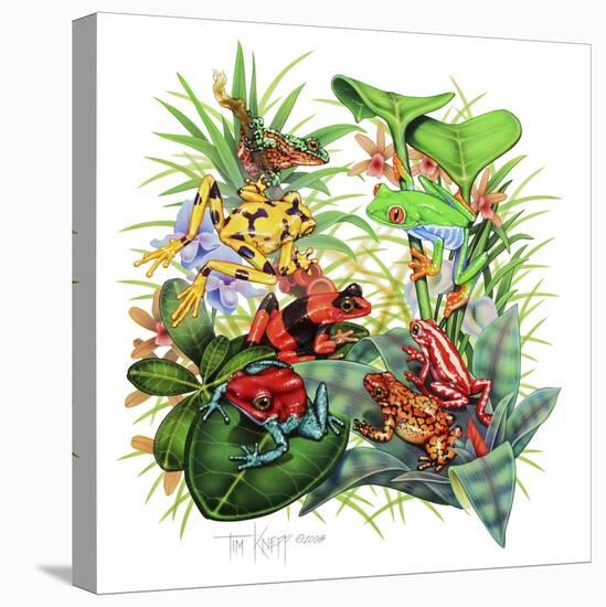 Frogs About-Tim Knepp-Stretched Canvas