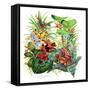 Frogs About-Tim Knepp-Framed Stretched Canvas