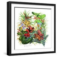 Frogs About-Tim Knepp-Framed Giclee Print