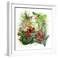 Frogs About-Tim Knepp-Framed Giclee Print