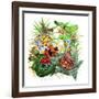 Frogs About-Tim Knepp-Framed Giclee Print