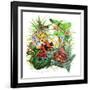 Frogs About-Tim Knepp-Framed Giclee Print