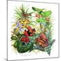 Frogs About-Tim Knepp-Mounted Giclee Print