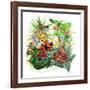 Frogs About-Tim Knepp-Framed Giclee Print