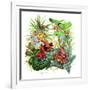 Frogs About-Tim Knepp-Framed Giclee Print