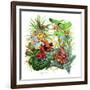 Frogs About-Tim Knepp-Framed Giclee Print