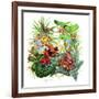 Frogs About-Tim Knepp-Framed Giclee Print