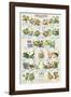 Frogs and Toads-null-Framed Art Print