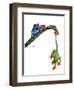 Frogs Hanging Out-Tim Knepp-Framed Premium Giclee Print