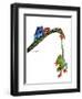 Frogs Hanging Out-Tim Knepp-Framed Premium Giclee Print