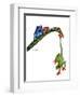 Frogs Hanging Out-Tim Knepp-Framed Premium Giclee Print