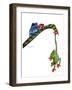 Frogs Hanging Out-Tim Knepp-Framed Giclee Print