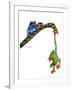 Frogs Hanging Out-Tim Knepp-Framed Giclee Print