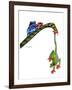 Frogs Hanging Out-Tim Knepp-Framed Giclee Print