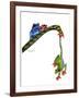 Frogs Hanging Out-Tim Knepp-Framed Giclee Print