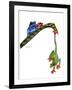 Frogs Hanging Out-Tim Knepp-Framed Giclee Print