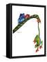 Frogs Hanging Out-Tim Knepp-Framed Stretched Canvas