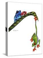 Frogs Hanging Out-Tim Knepp-Stretched Canvas