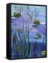 Frogs in the Pond-sylvia pimental-Framed Stretched Canvas