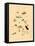 Frogs Snails and Insects-null-Framed Stretched Canvas