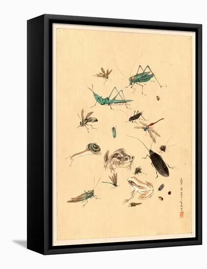 Frogs Snails and Insects-null-Framed Stretched Canvas