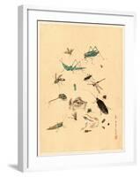 Frogs Snails and Insects-null-Framed Giclee Print