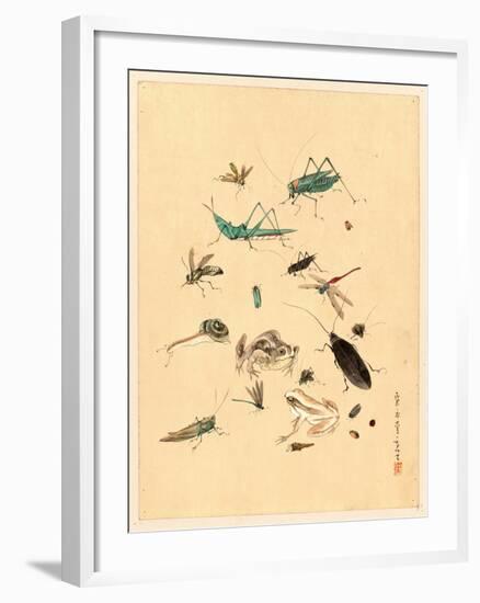 Frogs Snails and Insects-null-Framed Giclee Print