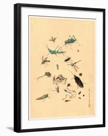 Frogs Snails and Insects-null-Framed Giclee Print