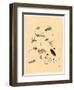 Frogs Snails and Insects-null-Framed Giclee Print