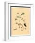 Frogs Snails and Insects-null-Framed Giclee Print