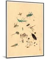 Frogs Snails and Insects-null-Mounted Giclee Print