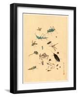 Frogs Snails and Insects-null-Framed Giclee Print