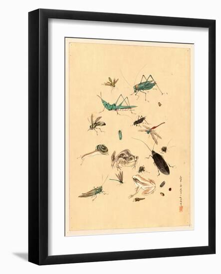 Frogs Snails and Insects-null-Framed Giclee Print