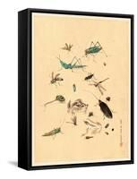 Frogs Snails and Insects-null-Framed Stretched Canvas