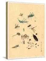 Frogs Snails and Insects-null-Stretched Canvas