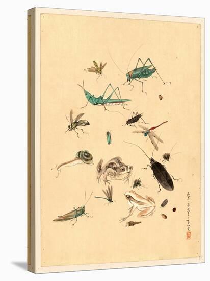 Frogs Snails and Insects-null-Stretched Canvas