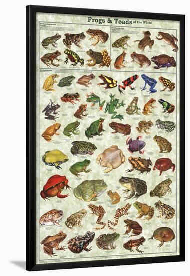 Frogs & Toads of the World Educational Poster-null-Lamina Framed Poster