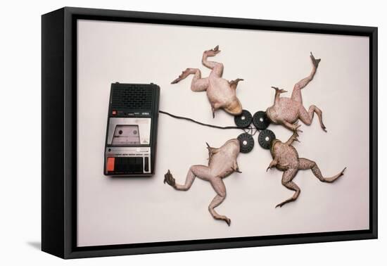 Frogs Undergoing Hypnosis-Roger Ressmeyer-Framed Stretched Canvas