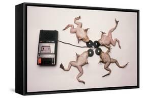 Frogs Undergoing Hypnosis-Roger Ressmeyer-Framed Stretched Canvas