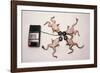 Frogs Undergoing Hypnosis-Roger Ressmeyer-Framed Photographic Print