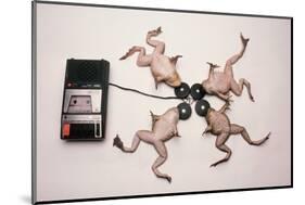 Frogs Undergoing Hypnosis-Roger Ressmeyer-Mounted Photographic Print