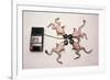 Frogs Undergoing Hypnosis-Roger Ressmeyer-Framed Photographic Print