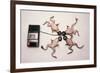 Frogs Undergoing Hypnosis-Roger Ressmeyer-Framed Photographic Print