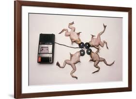 Frogs Undergoing Hypnosis-Roger Ressmeyer-Framed Photographic Print