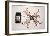 Frogs Undergoing Hypnosis-Roger Ressmeyer-Framed Photographic Print